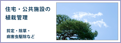 住宅・公共施設の植栽管理