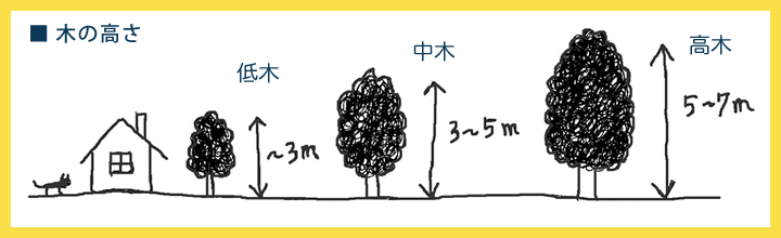 木の高さ例の図